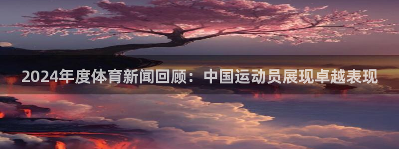 2024年度体育新闻回顾：中国运动员展现卓越表现