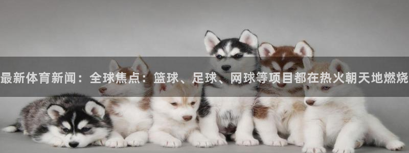 最新体育新闻：全球焦点：篮球、足球、网球等项目都在热火朝天地燃烧
