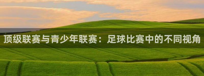 顶级联赛与青少年联赛：足球比赛中的不同视角