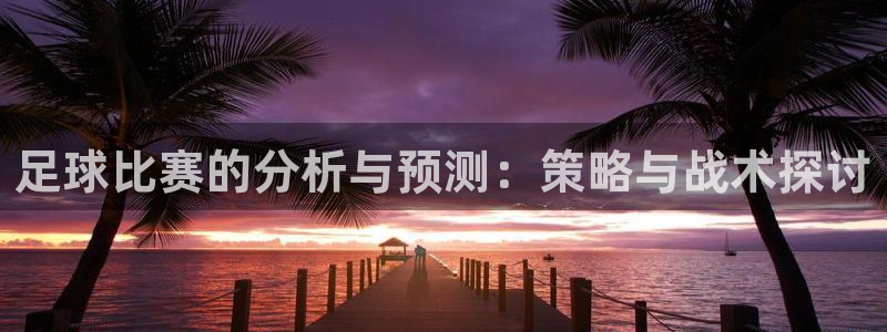 足球比赛的分析与预测：策略与战术探讨