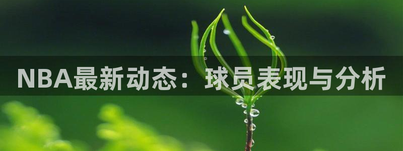 NBA最新动态：球员表现与分析