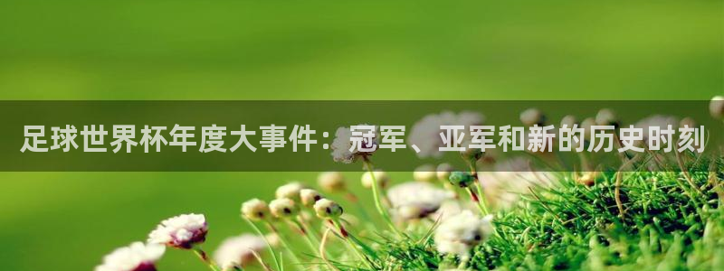 足球世界杯年度大事件：冠军、亚军和新的历史时刻