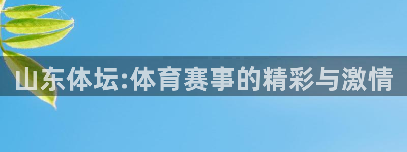 山东体坛:体育赛事的精彩与激情
