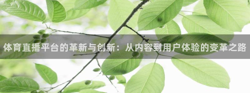 体育直播平台的革新与创新：从内容到用户体验的变革之路