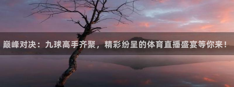 巅峰对决：九球高手齐聚，精彩纷呈的体育直播盛宴等你来！