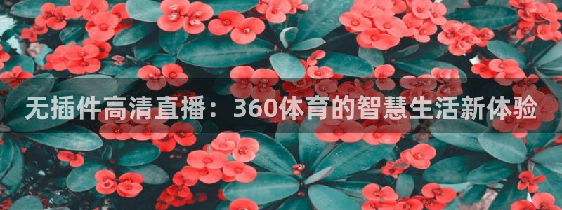无插件高清直播：360体育的智慧生活新体验