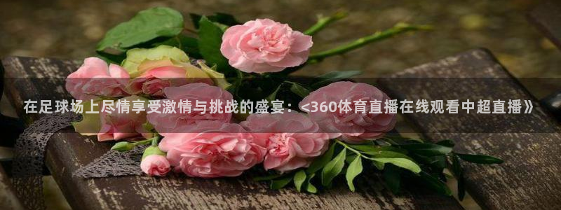 在足球场上尽情享受激情与挑战的盛宴：<360体育直播在线观看中超直播》