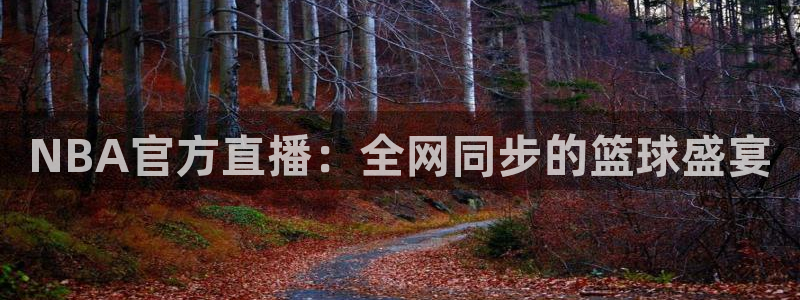 NBA官方直播：全网同步的篮球盛宴
