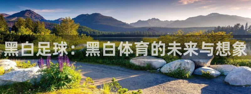 黑白足球：黑白体育的未来与想象