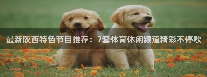 最新陕西特色节目推荐：7套体育休闲频道精彩不停歇