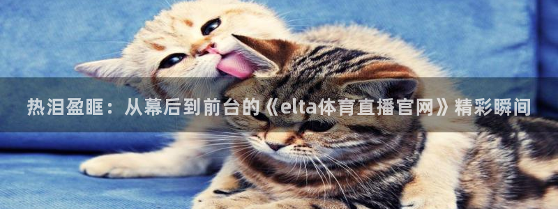 热泪盈眶：从幕后到前台的《elta体育直播官网》精彩瞬间
