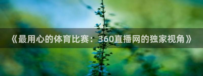 《最用心的体育比赛：360直播网的独家视角》
