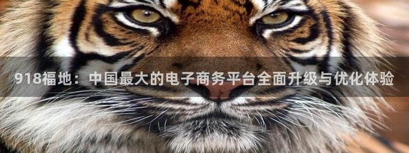 918福地：中国最大的电子商务平台全面升级与优化体验