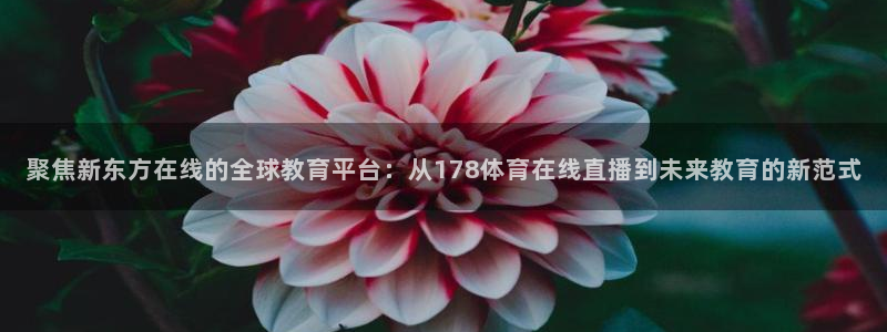 聚焦新东方在线的全球教育平台：从178体育在线直播到未来教育的新范式
