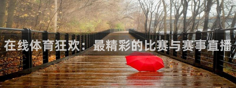 在线体育狂欢：最精彩的比赛与赛事直播