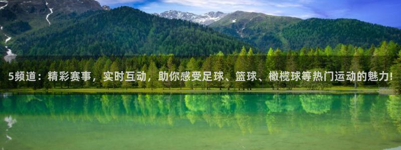5频道：精彩赛事，实时互动，助你感受足球、篮球、橄榄球等热门运动的魅力!
