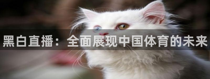黑白直播：全面展现中国体育的未来
