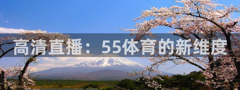 高清直播：55体育的新维度