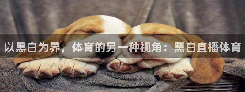 以黑白为界，体育的另一种视角：黑白直播体育