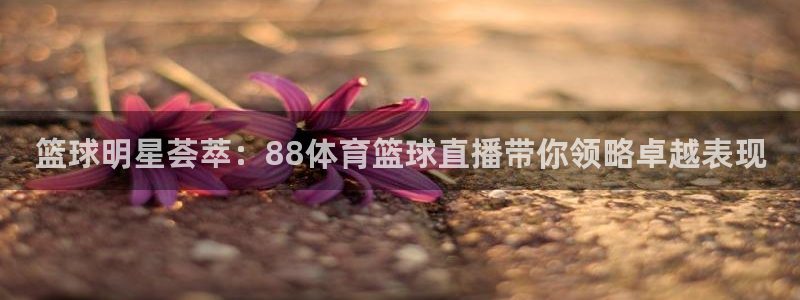 篮球明星荟萃：88体育篮球直播带你领略卓越表现