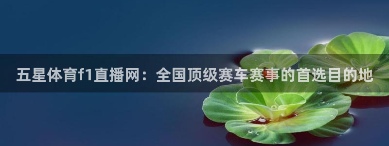 五星体育f1直播网：全国顶级赛车赛事的首选目的地