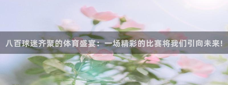 八百球迷齐聚的体育盛宴：一场精彩的比赛将我们引向未来!