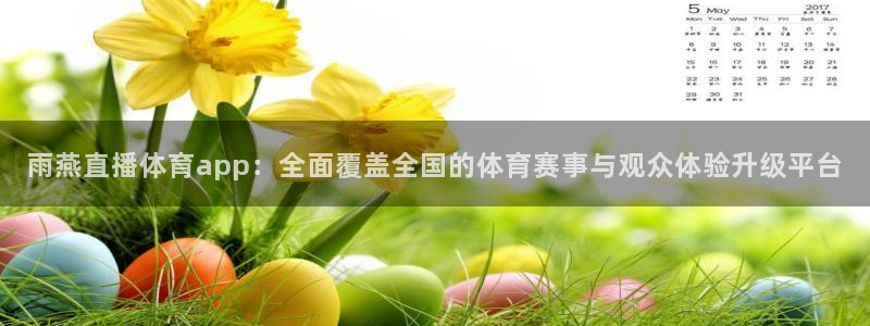雨燕直播体育app：全面覆盖全国的体育赛事与观众体验升级平台
