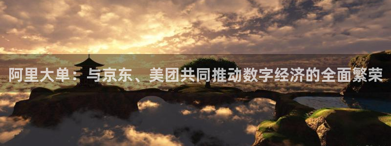 阿里大单：与京东、美团共同推动数字经济的全面繁荣