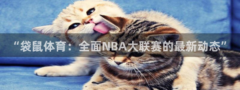 “袋鼠体育：全面NBA大联赛的最新动态”