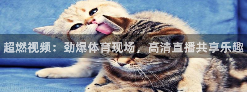 超燃视频：劲爆体育现场，高清直播共享乐趣