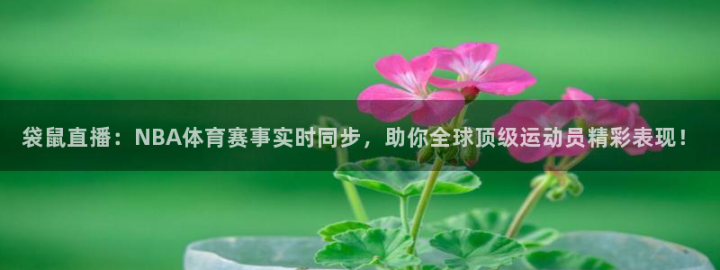袋鼠直播：NBA体育赛事实时同步，助你全球顶级运动员精彩表现！