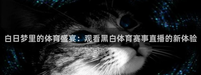 白日梦里的体育盛宴：观看黑白体育赛事直播的新体验