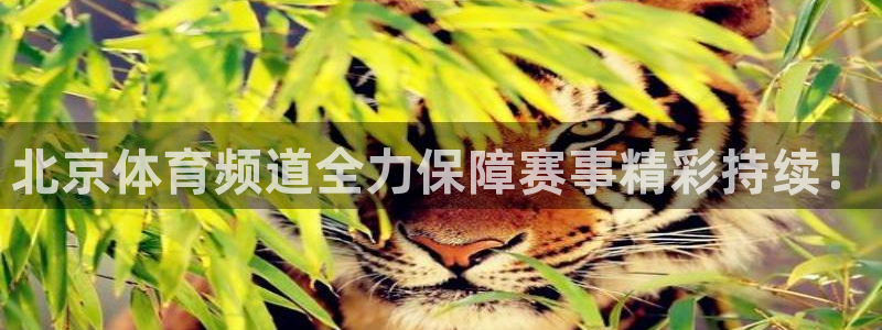 北京体育频道全力保障赛事精彩持续！