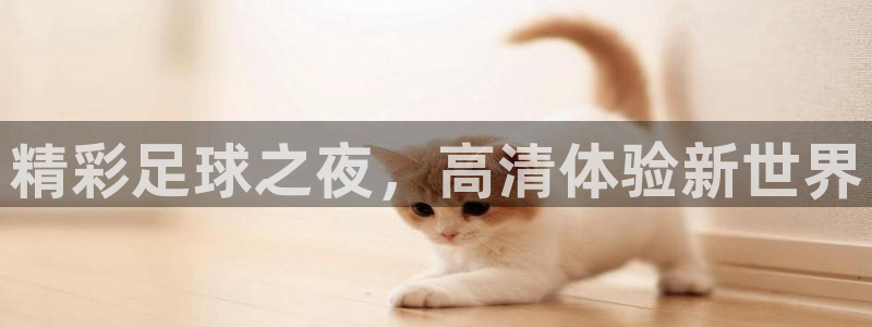精彩足球之夜，高清体验新世界