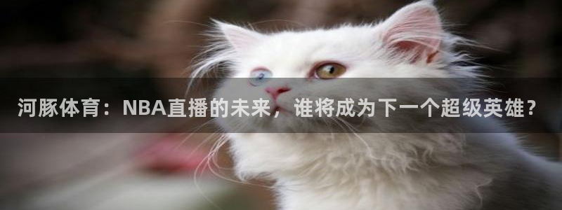 河豚体育：NBA直播的未来，谁将成为下一个超级英雄？