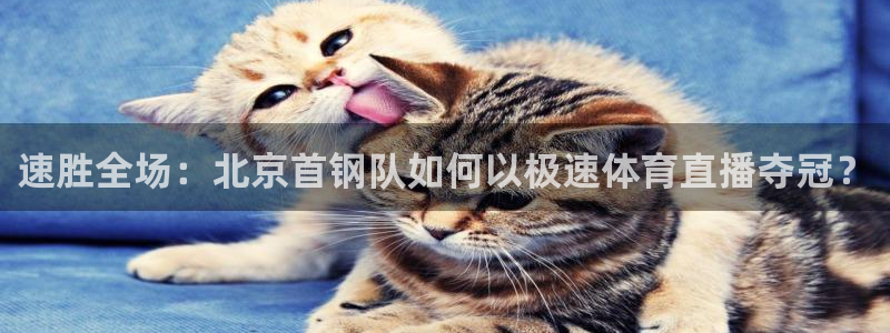 速胜全场：北京首钢队如何以极速体育直播夺冠？
