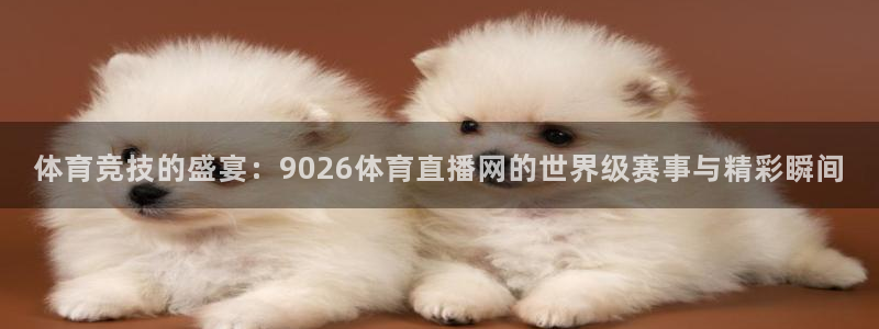 体育竞技的盛宴：9026体育直播网的世界级赛事与精彩瞬间