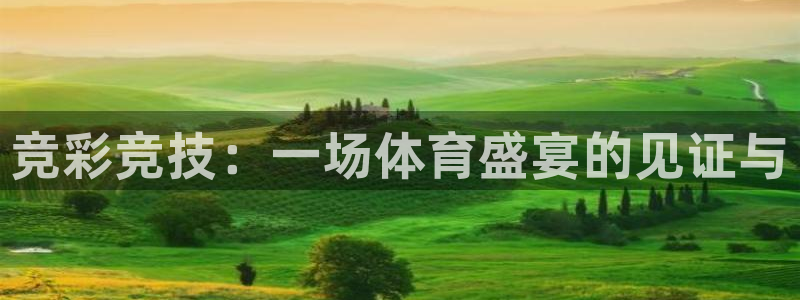 竞彩竞技：一场体育盛宴的见证与