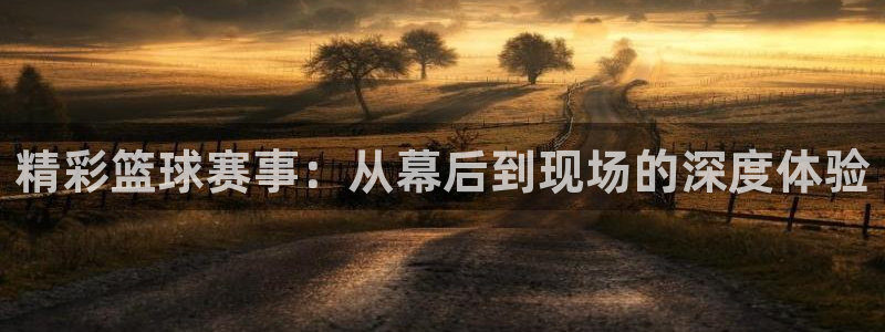 精彩篮球赛事：从幕后到现场的深度体验