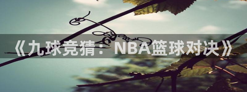 《九球竞猜：NBA篮球对决》