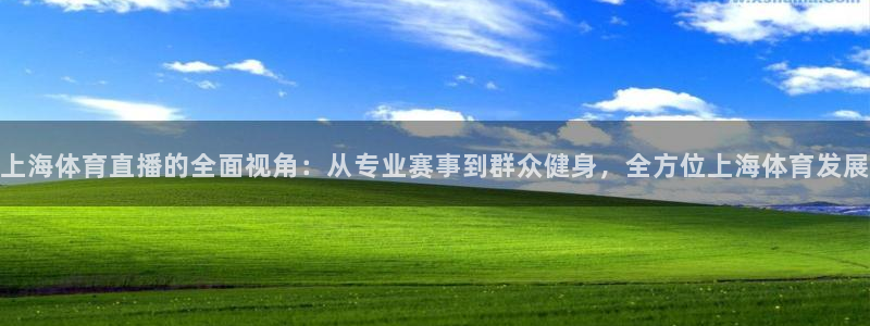 上海体育直播的全面视角：从专业赛事到群众健身，全方位上海体育发展