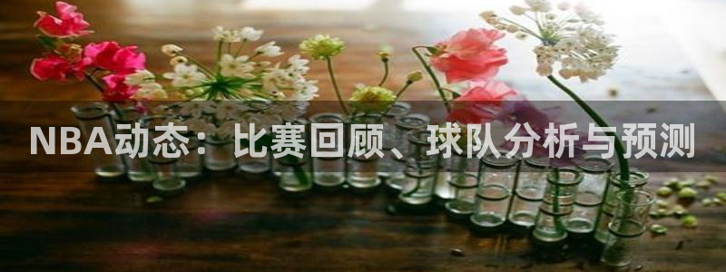 NBA动态：比赛回顾、球队分析与预测
