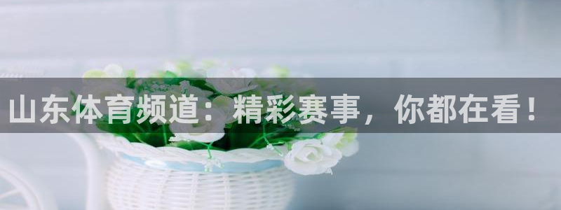 山东体育频道：精彩赛事，你都在看！