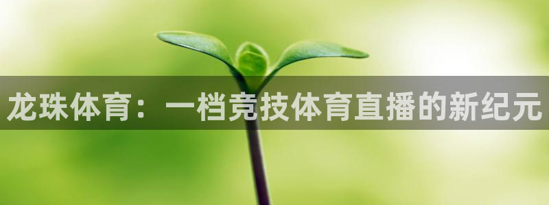 龙珠体育：一档竞技体育直播的新纪元