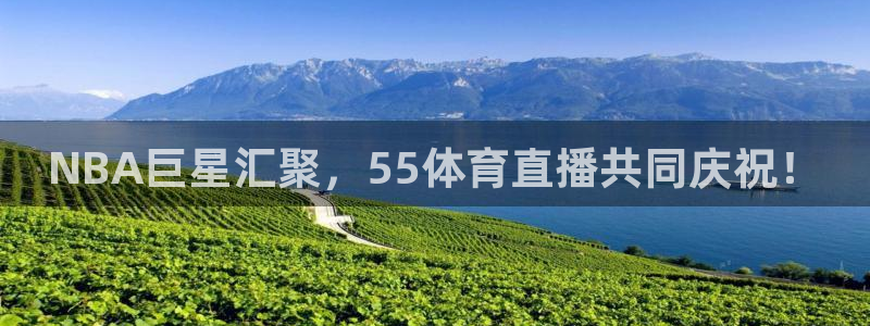 NBA巨星汇聚，55体育直播共同庆祝！