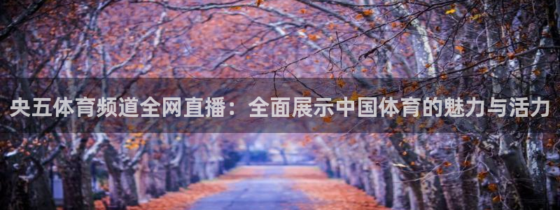 央五体育频道全网直播：全面展示中国体育的魅力与活力