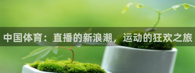 中国体育：直播的新浪潮，运动的狂欢之旅
