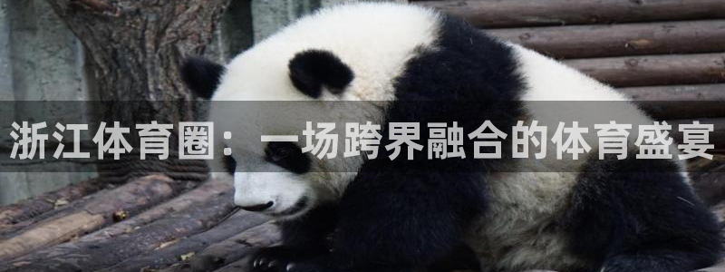 浙江体育圈：一场跨界融合的体育盛宴
