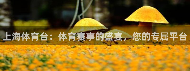 上海体育台：体育赛事的盛宴，您的专属平台