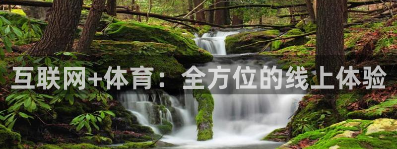 互联网+体育：全方位的线上体验